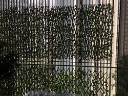 OUE Twin Peaks (D9), Condominium #172430042